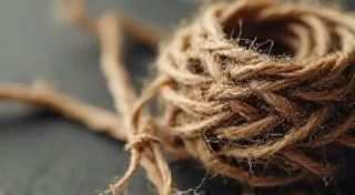 Bound by Thread: The Postal Network and the Shared Experience of a Disappearing Era